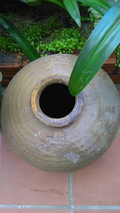 Thao Nguyen Phat Homestay Hoi An Exterior foto